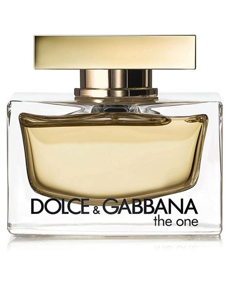 macy's dolce and gabbana.